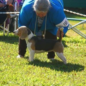 Meet your Posher, Kathleen